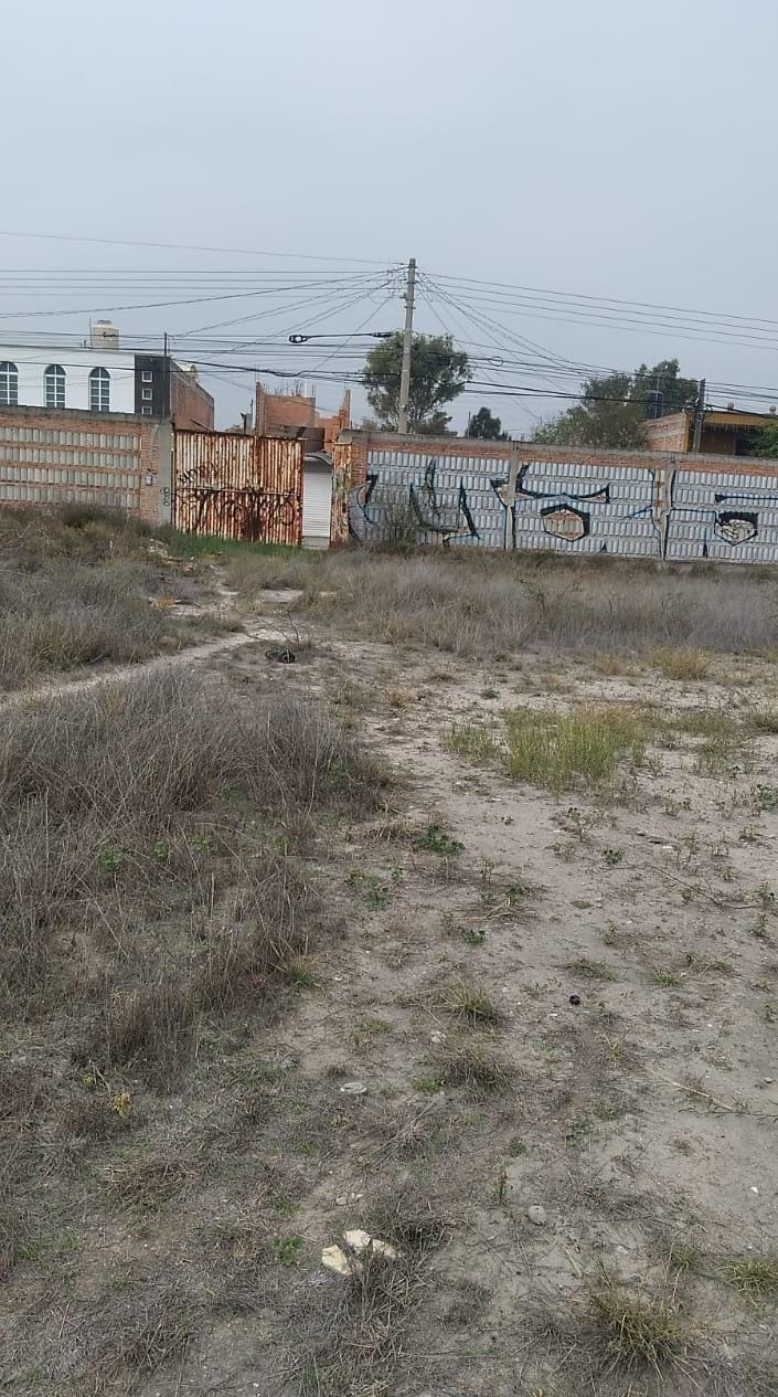 55cf558d-5558-494f-93dd-a66a7d1d3c8a TERRENO en VENTA en COLONIA GRAL. I. MARTÍNEZ — San Juan de Guadalupe, SLP.