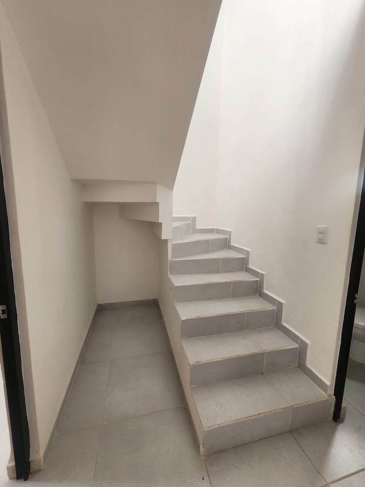 PHOTO-2026-02-20-16-59-24 3