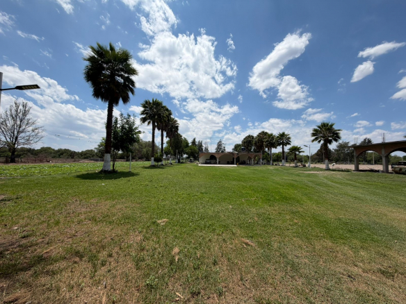 Terreno rústico con palmas, casa habitación y pozo en Palma de la Cruz, Soledad de Graciano Sánchez, SLP.
