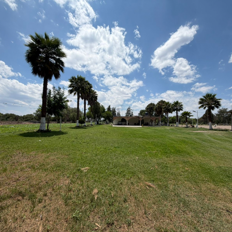 Terreno rústico con palmas, casa habitación y pozo en Palma de la Cruz, Soledad de Graciano Sánchez, SLP.