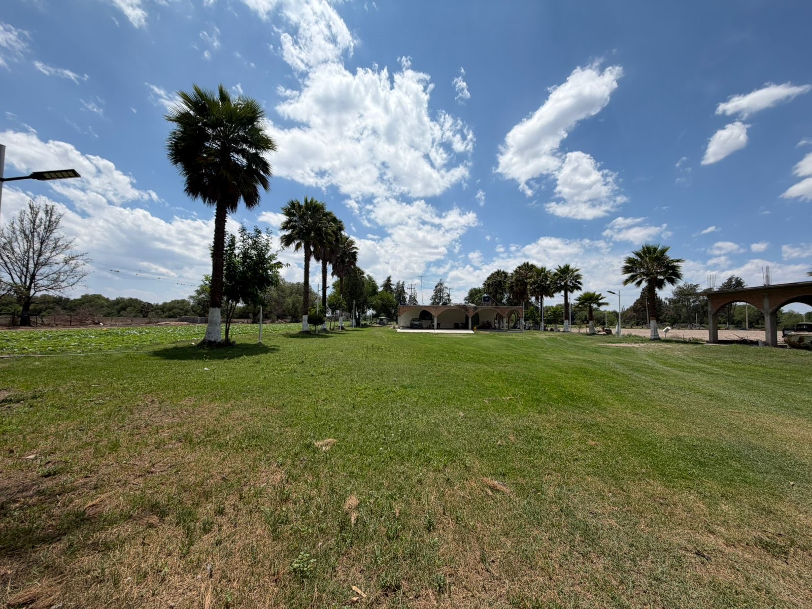 Terreno rústico con palmas, casa habitación y pozo en Palma de la Cruz, Soledad de Graciano Sánchez, SLP.