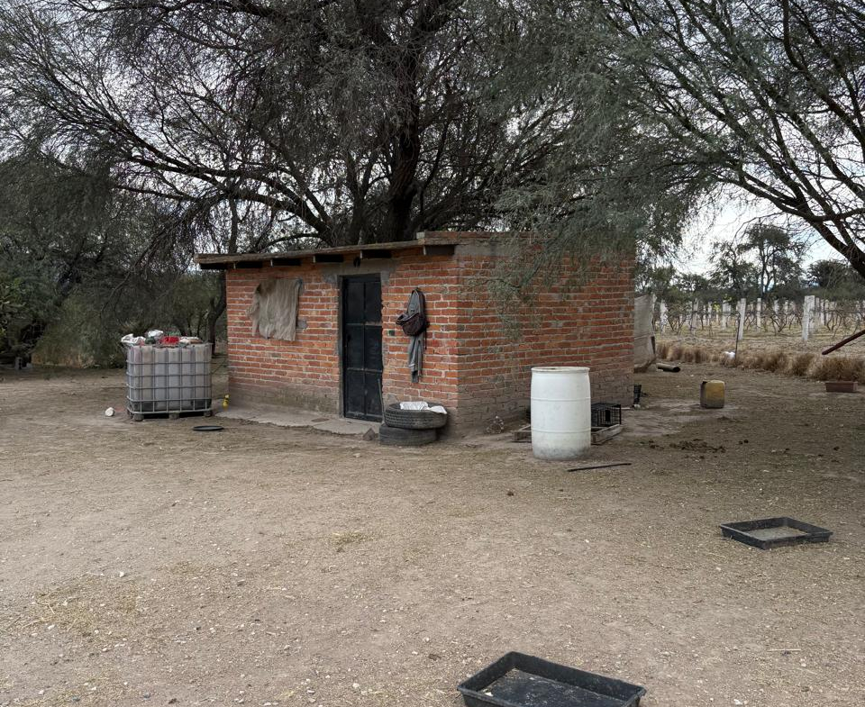 TERRENO AGROINDUSTRIAL en VENTA en VILLA DE REYES, SLP — A 45 MINUTOS DEL DISTRIBUIDOR JUÁREZ.