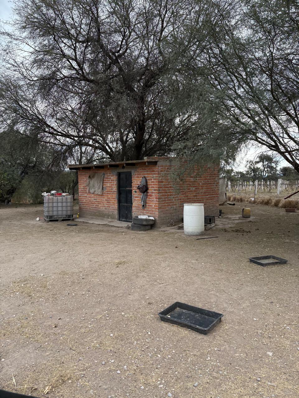 foto-rancho-agroindustrial-villa-de-reyes-slp-11 TERRENO AGROINDUSTRIAL en VENTA en VILLA DE REYES, SLP — A 45 MINUTOS DEL DISTRIBUIDOR JUÁREZ.