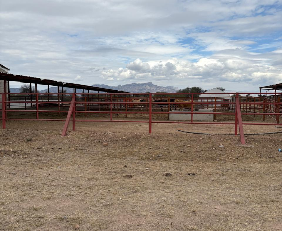 TERRENO AGROINDUSTRIAL en VENTA en VILLA DE REYES, SLP — A 45 MINUTOS DEL DISTRIBUIDOR JUÁREZ.