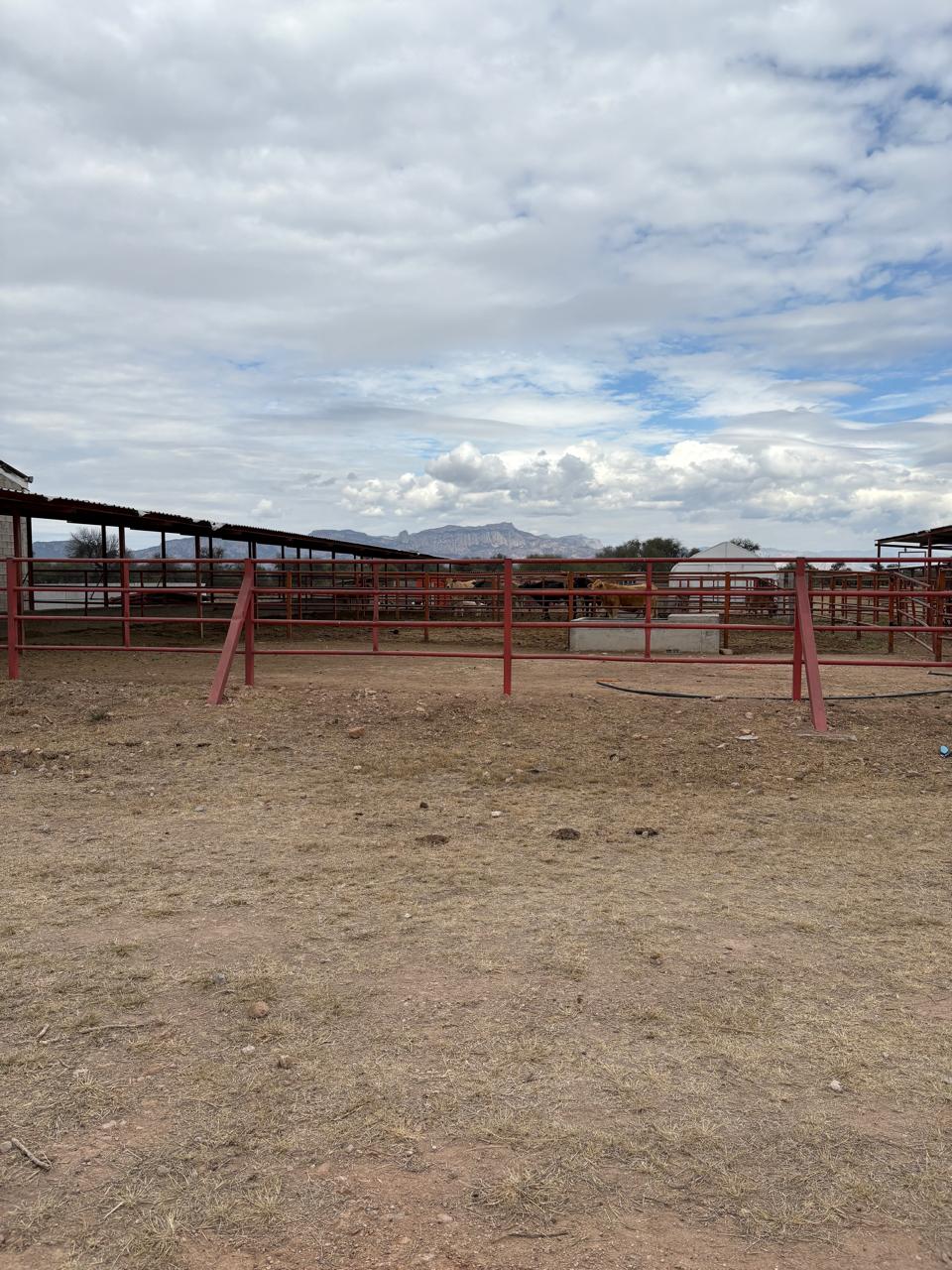 foto-rancho-agroindustrial-villa-de-reyes-slp-12 TERRENO AGROINDUSTRIAL en VENTA en VILLA DE REYES, SLP — A 45 MINUTOS DEL DISTRIBUIDOR JUÁREZ.