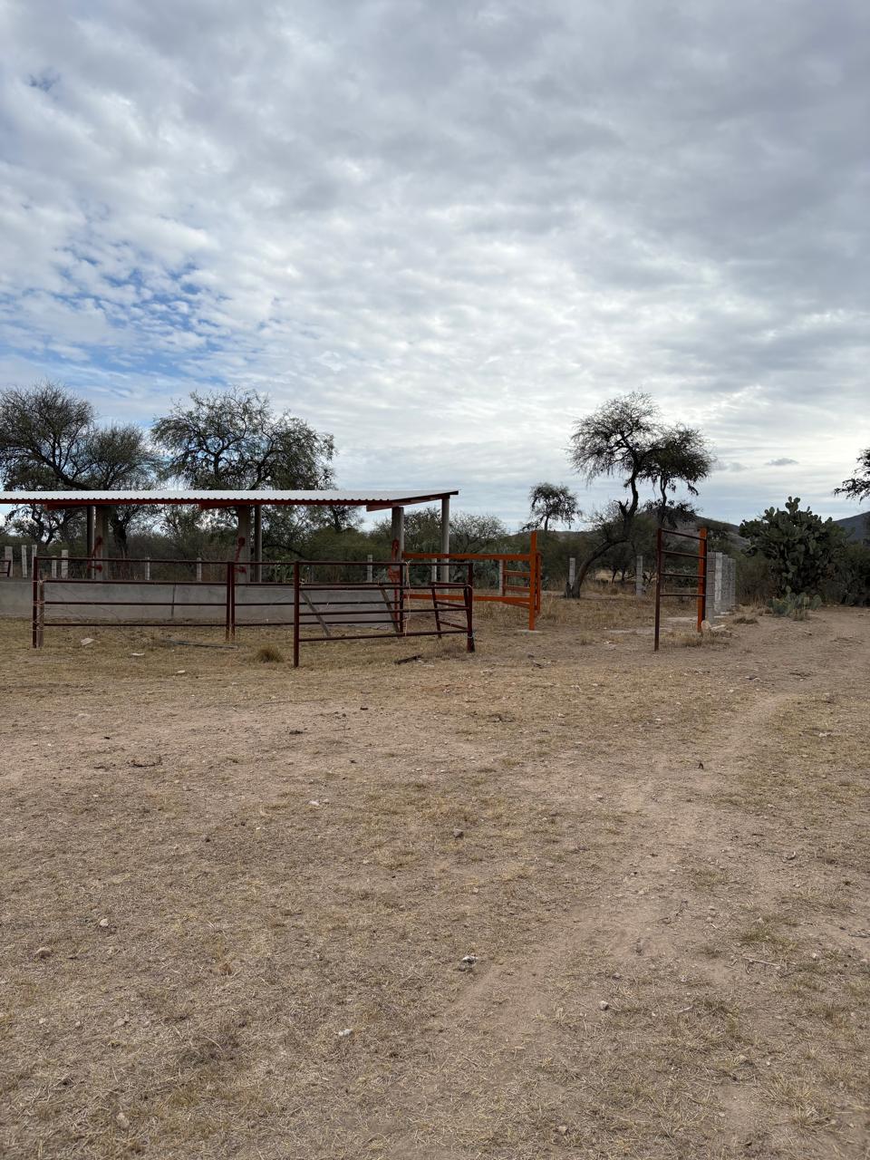 foto-rancho-agroindustrial-villa-de-reyes-slp-13 TERRENO AGROINDUSTRIAL en VENTA en VILLA DE REYES, SLP — A 45 MINUTOS DEL DISTRIBUIDOR JUÁREZ.