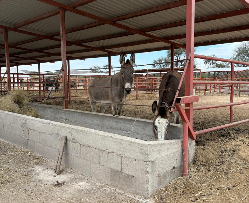 TERRENO AGROINDUSTRIAL en VENTA en VILLA DE REYES, SLP — A 45 MINUTOS DEL DISTRIBUIDOR JUÁREZ.
