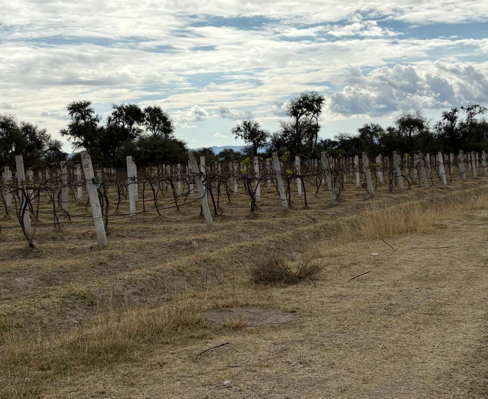 TERRENO AGROINDUSTRIAL en VENTA en VILLA DE REYES, SLP — A 45 MINUTOS DEL DISTRIBUIDOR JUÁREZ.
