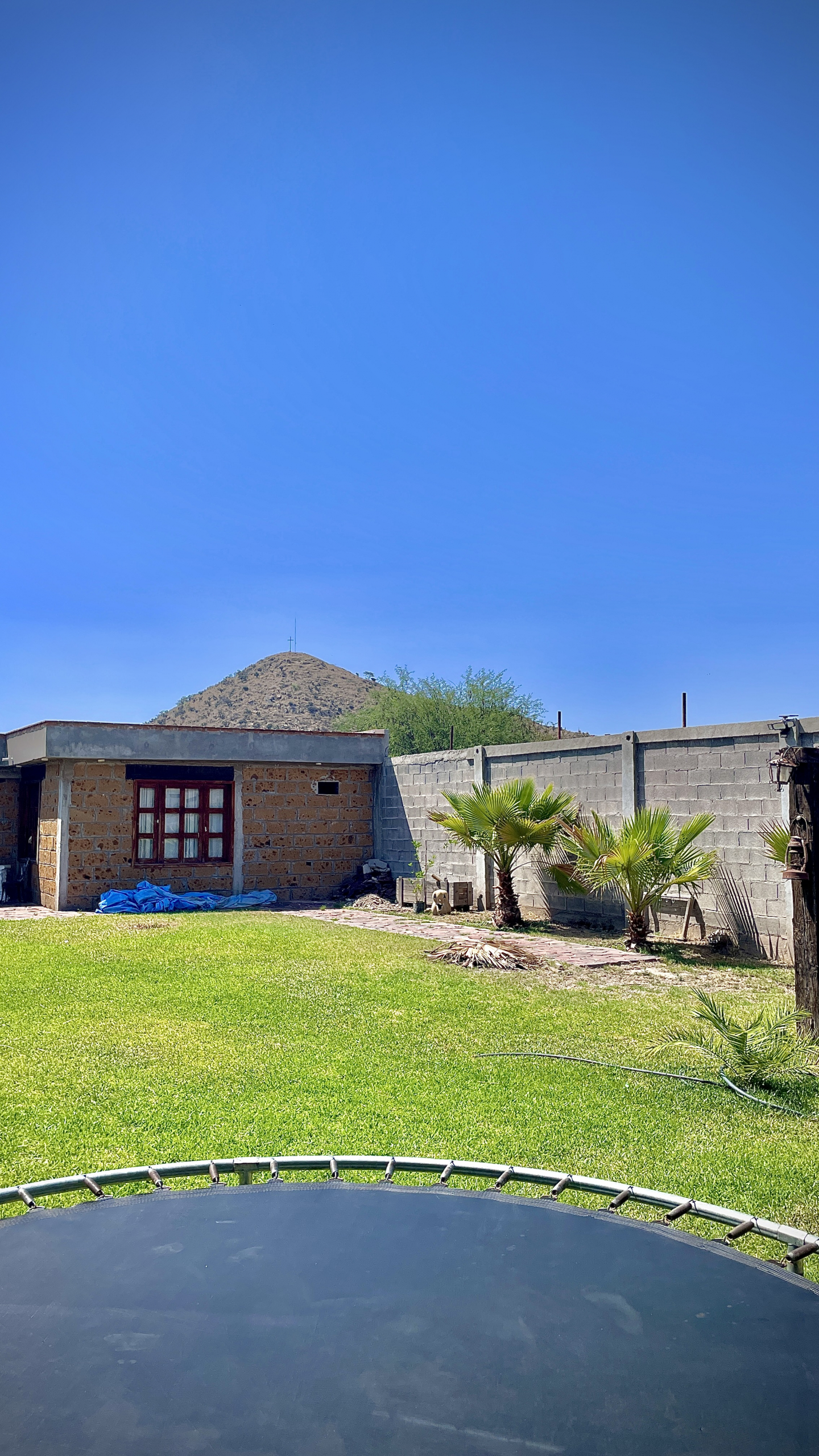 Quinta campestre en venta en Villa de Reyes, SLP - Vista del amplio jardín con alberca, palmeras y área de asador.