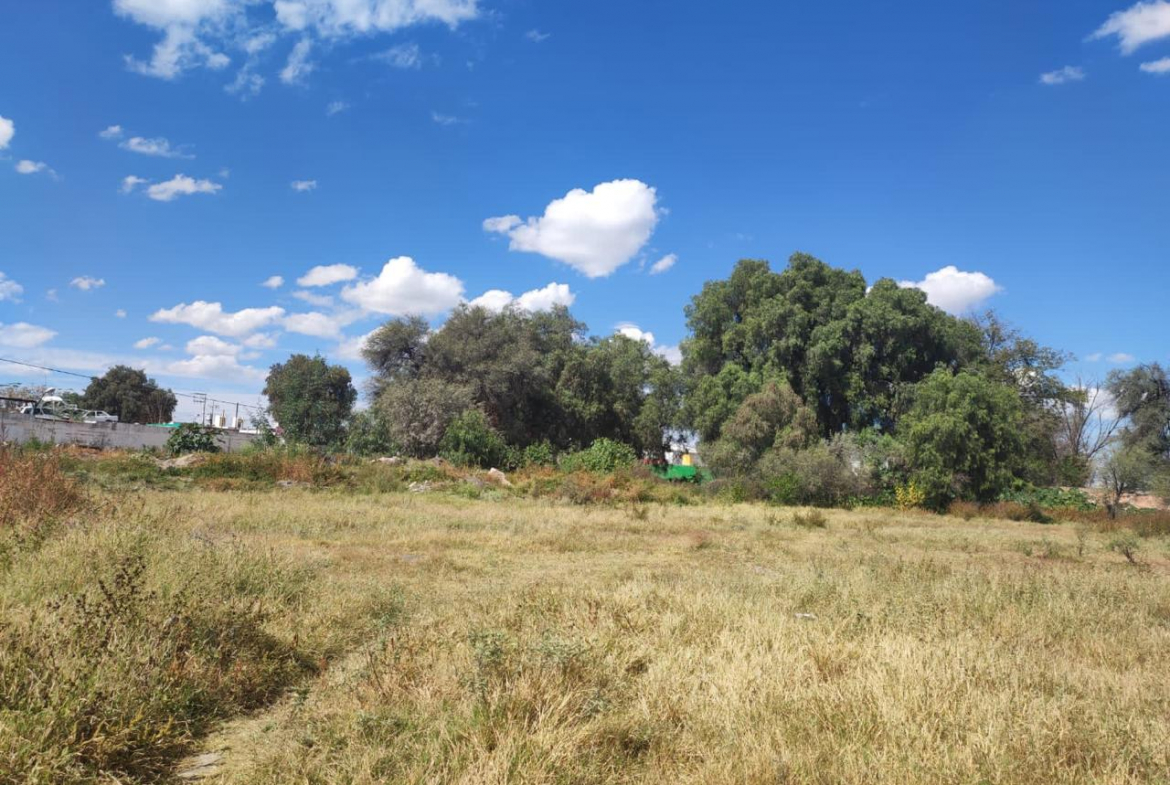TERRENO en RENTA en PROL. MELCHOR OCAMPO, SOLEDAD DE GRACIANO SÁNCHEZ — Colegio Presidente Kennedy, SLP.