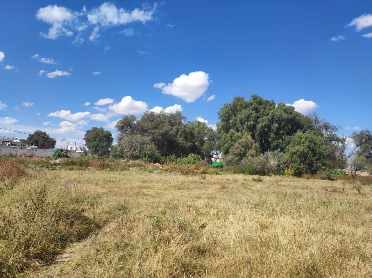 TERRENO en RENTA en PROL. MELCHOR OCAMPO, SOLEDAD DE GRACIANO SÁNCHEZ — Colegio Presidente Kennedy, SLP.