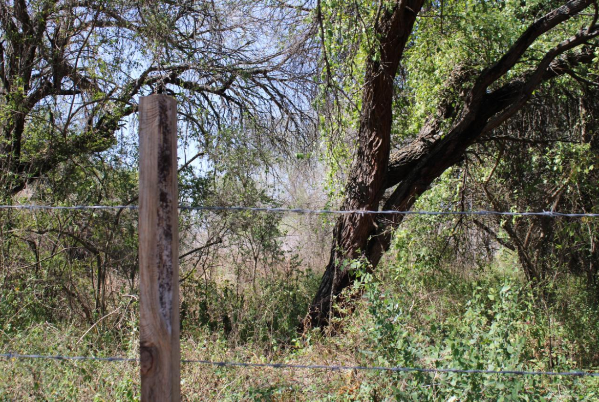 TERRENO en VENTA en EL JABALÍ, RIOVERDE — CANAL DE LA MEDIA LUNA, SLP.