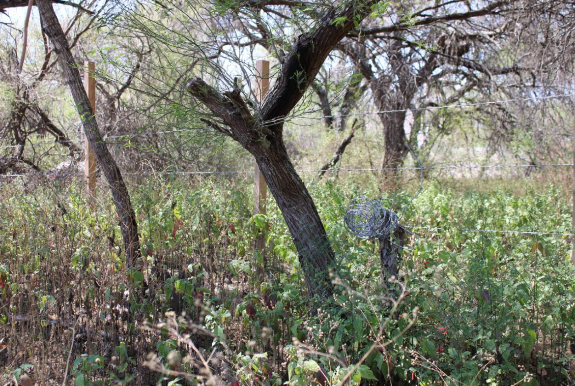 TERRENO en VENTA en EL JABALÍ, RIOVERDE — CANAL DE LA MEDIA LUNA, SLP.