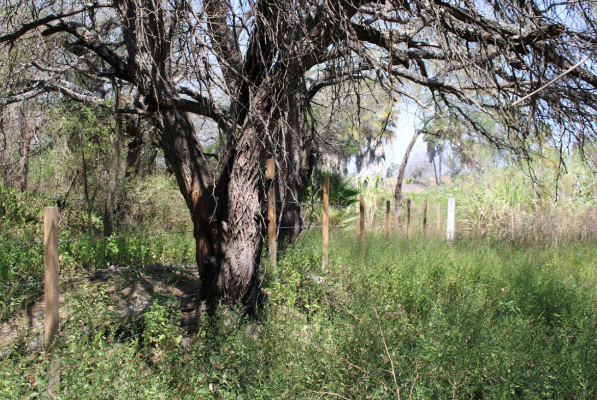 TERRENO en VENTA en EL JABALÍ, RIOVERDE — CANAL DE LA MEDIA LUNA, SLP.