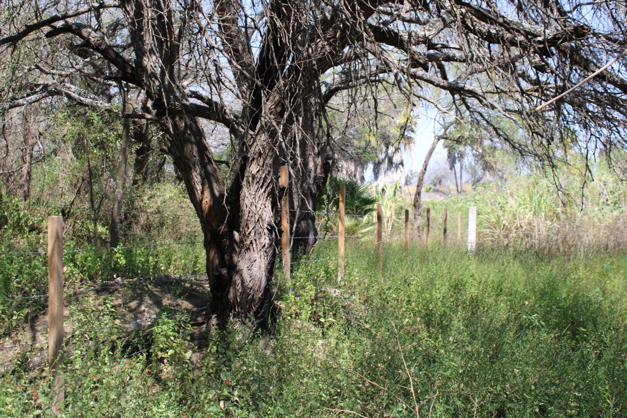 TERRENO en VENTA en EL JABALÍ, RIOVERDE — CANAL DE LA MEDIA LUNA, SLP.