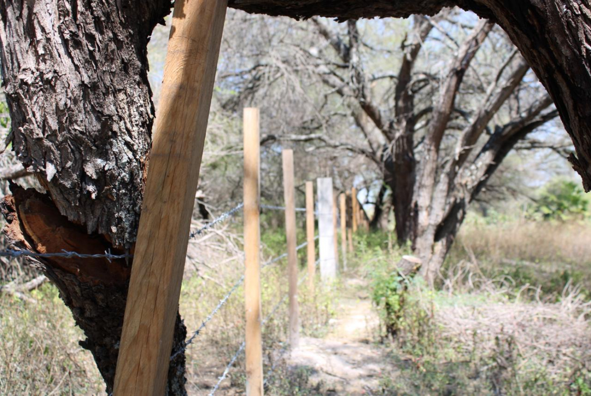 TERRENO en VENTA en EL JABALÍ, RIOVERDE — CANAL DE LA MEDIA LUNA, SLP.