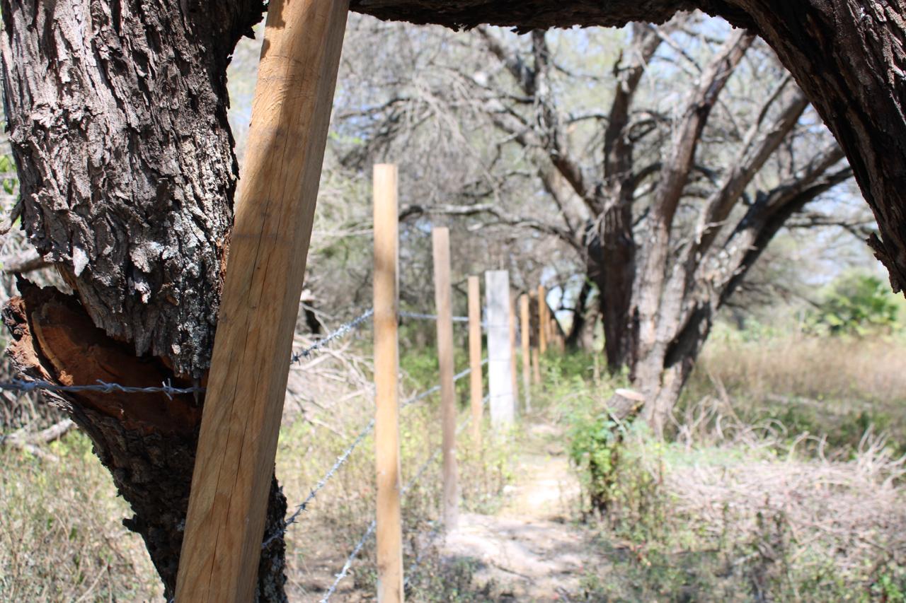 TERRENO en VENTA en EL JABALÍ, RIOVERDE — CANAL DE LA MEDIA LUNA, SLP.