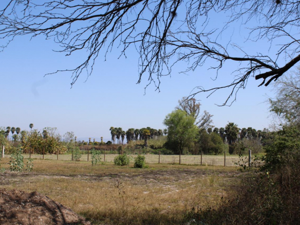 Terreno en venta en El Jabalí, Rioverde, SLP - Vista del terreno regular junto al canal de la Media Luna.