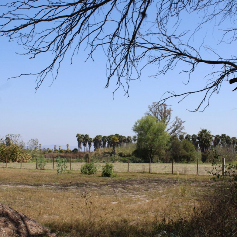 Terreno en venta en El Jabalí, Rioverde, SLP - Vista del terreno regular junto al canal de la Media Luna.