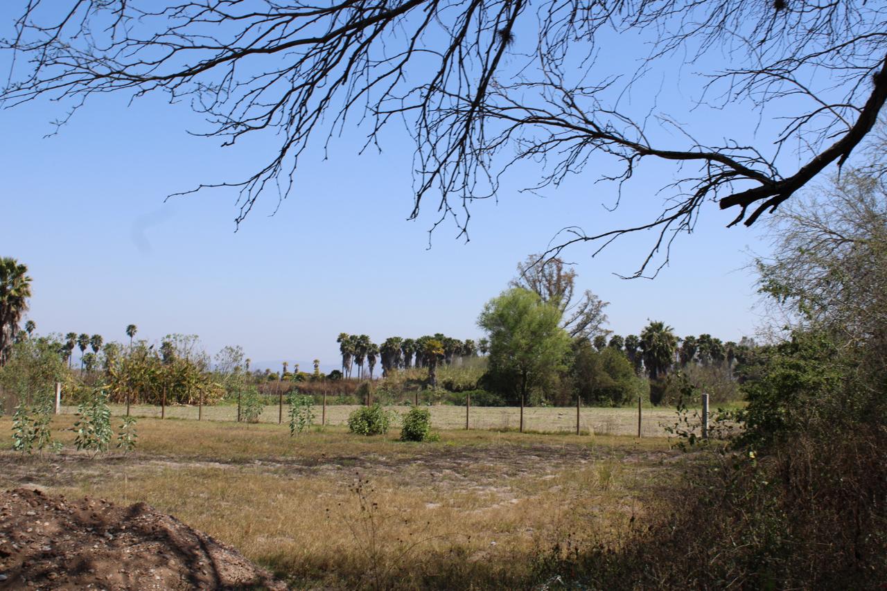 Terreno en venta en El Jabalí, Rioverde, SLP - Vista del terreno regular junto al canal de la Media Luna.