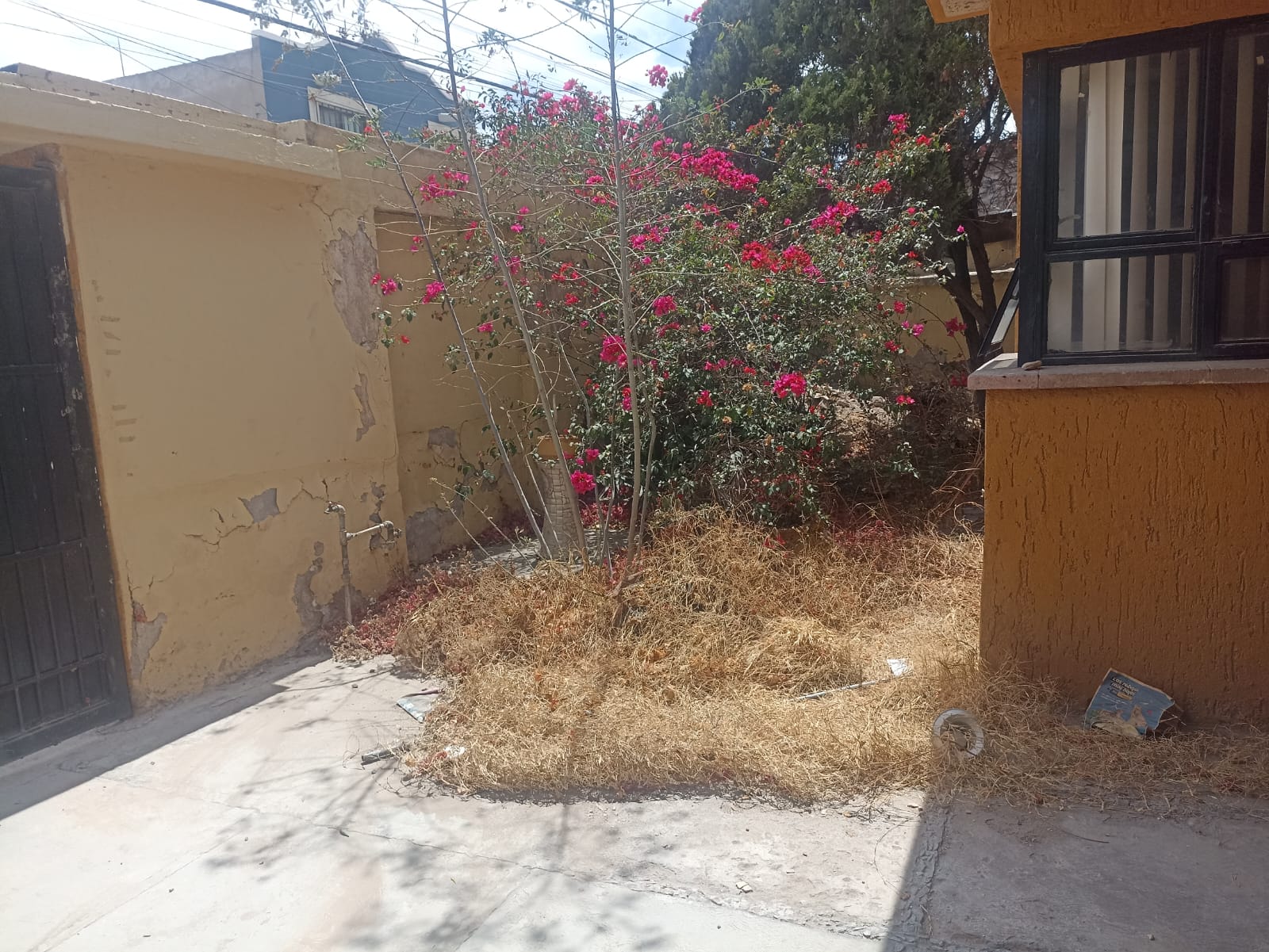 casa-venta-san-miguelito-san-luis-potosi-6 CASA en VENTA en BARRIO DE SAN MIGUELITO, SAN LUIS POTOSÍ — Por la zona Calzada de Guadalupe y Caja del Agua, SLP.